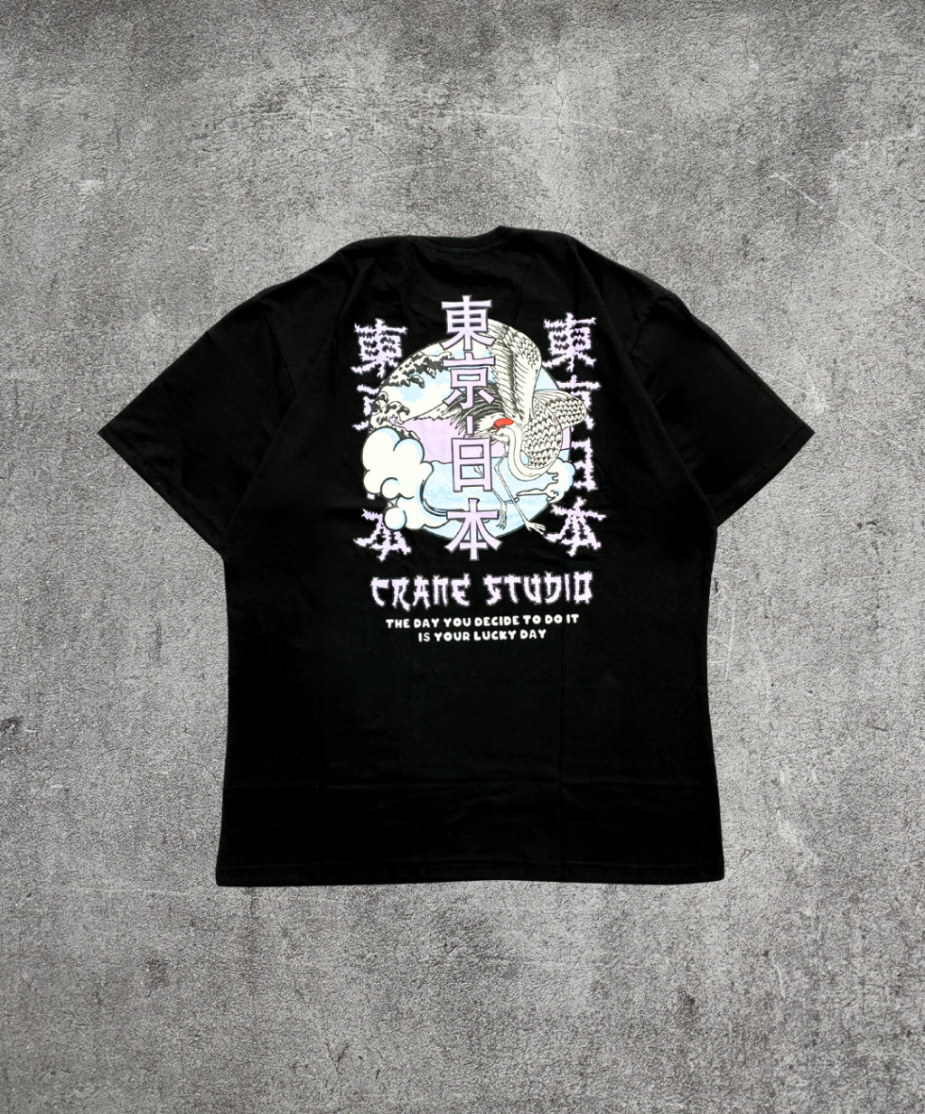 Remera Oversize Crane